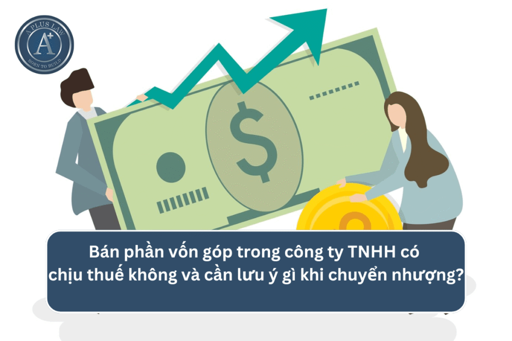 Bán phần vốn góp trong công ty TNHH có chịu thuế không và cần lưu ý gì khi chuyển nhượng?