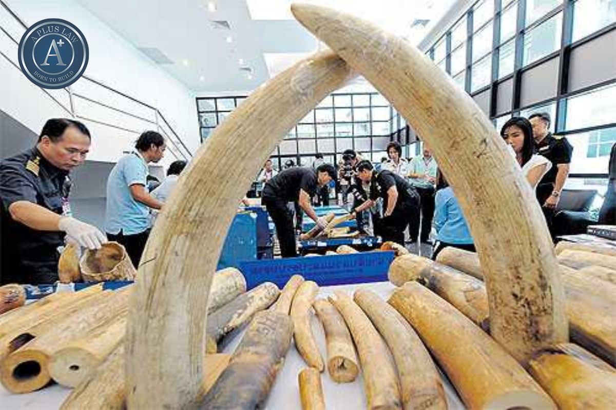Ngành nghề cấm đầu tư kinh doanh là những lĩnh vực mà tổ chức, cá nhân tuyệt đối không được phép thực hiện hoạt động kinh doanh dưới bất kỳ hình thức nào theo quy định