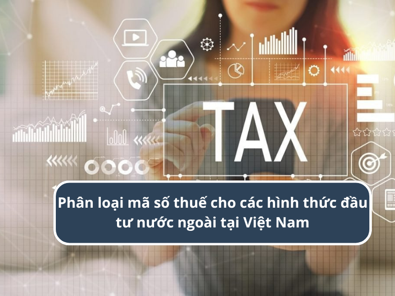 Mã số thuế không chỉ là công cụ quản lý của cơ quan thuế mà còn mang giá trị pháp lý quan trọng đối với doanh nghiệp