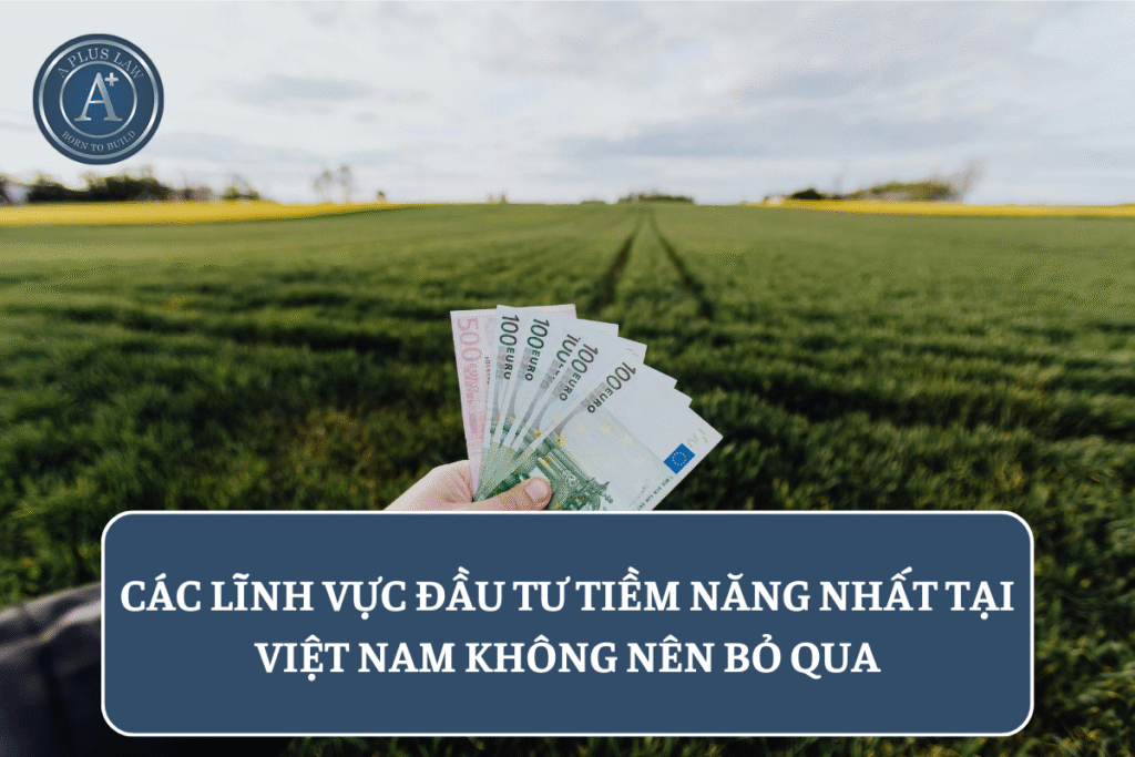 Các lĩnh vực đầu tư tiềm năng nhất tại Việt Nam không nên bỏ qua