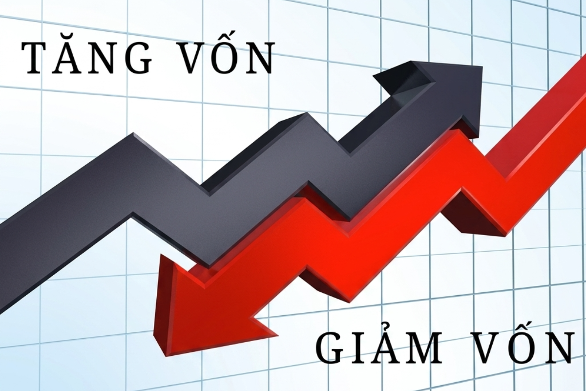 Tăng hoặc giảm vốn đầu tư từ 20% trở lên