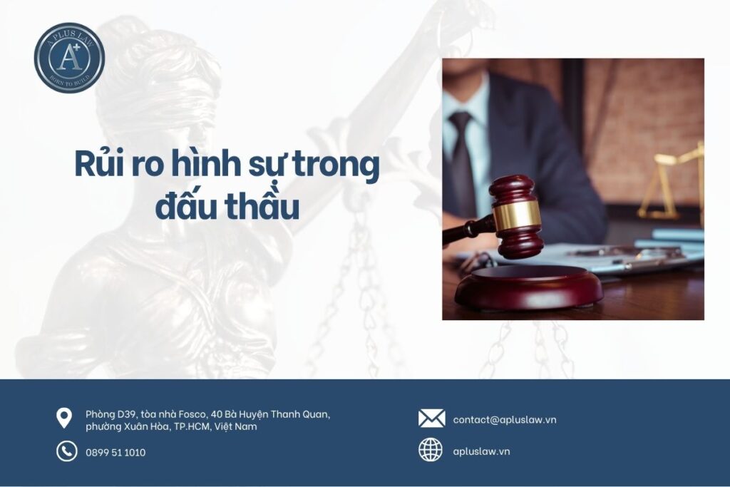 rui-ro-hinh-su-trong-dau-thau