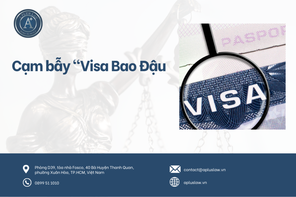 Cạm bẫy "Visa Bao Đậu": Khi vỏ bọc chuyên gia đẩy ban giám đốc FDI vào vòng lao lý